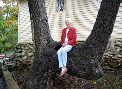 Harriet Wills on Indian Marker Tree copy